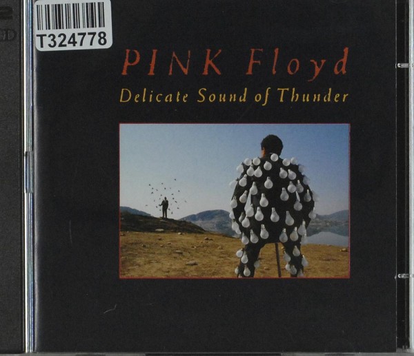 Pink Floyd: Delicate Sound Of Thunder
