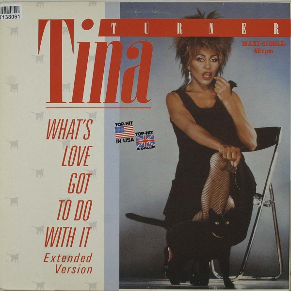 Tina Turner: What&#039;s Love Got To Do With It (Extended Version)
