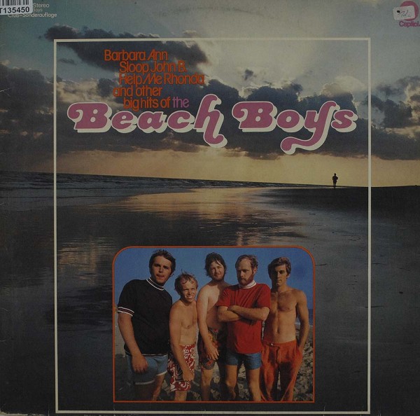 The Beach Boys: The Beach Boys