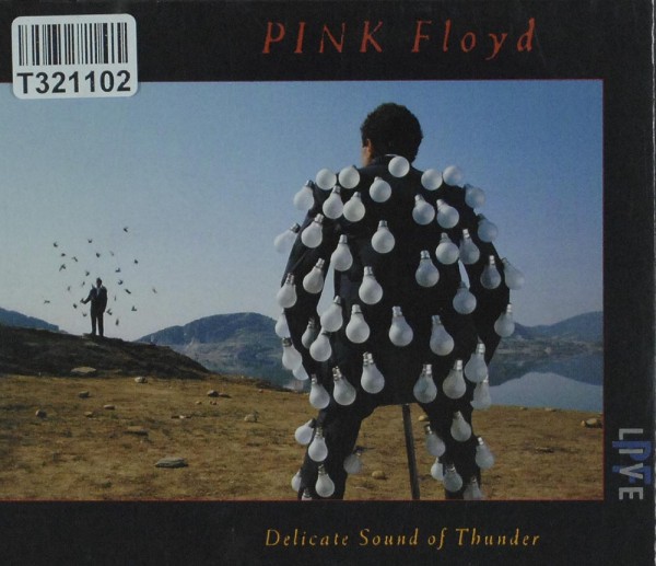 Pink Floyd: Delicate Sound Of Thunder