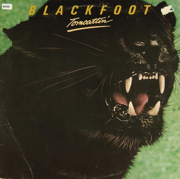 Blackfoot: Tomcattin´