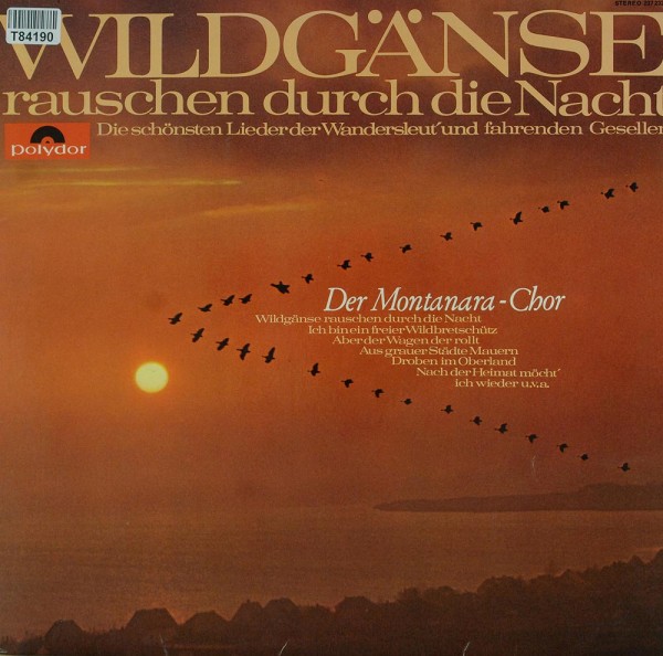 Montanara Chor: Wildgänse Rauschen Durch Die Nacht (Die Schönsten Lieder