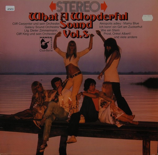 Various: Stereo - What a Wonderful Sound Vol. 8